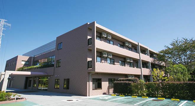 もみの樹・杉並