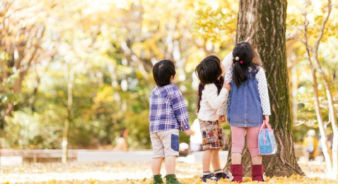 合同会社フェアリエル福祉会