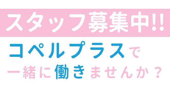 株式会社ビックノーブル