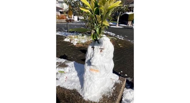 合同会社たけのこproject