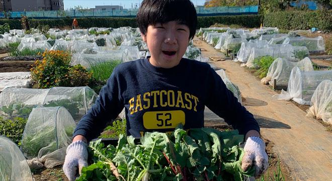 特定非営利活動法人わっしょい・ふる里