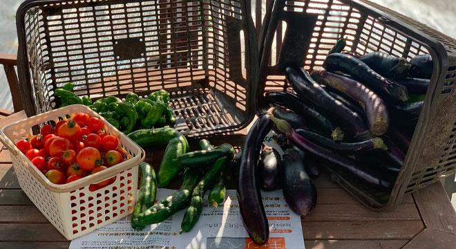 特定非営利活動法人わっしょい・ふる里