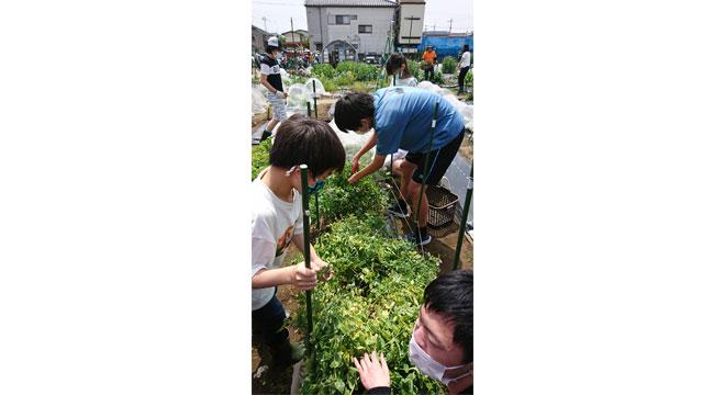 特定非営利活動法人わっしょい・ふる里