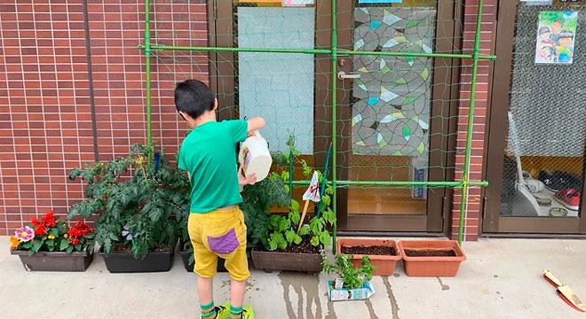 特定非営利活動法人わっしょい・ふる里