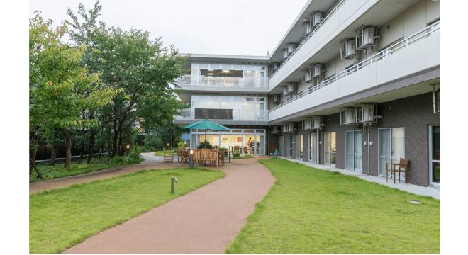 もみの樹・横浜鶴見