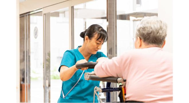 もみの樹・横浜鶴見