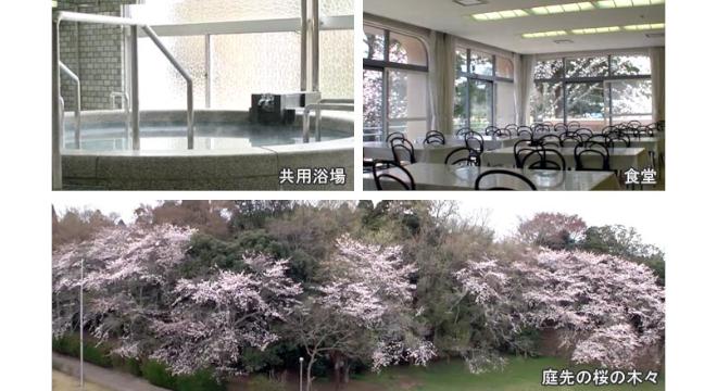 住宅型有料老人ホーム ひまわりの郷 土気城趾