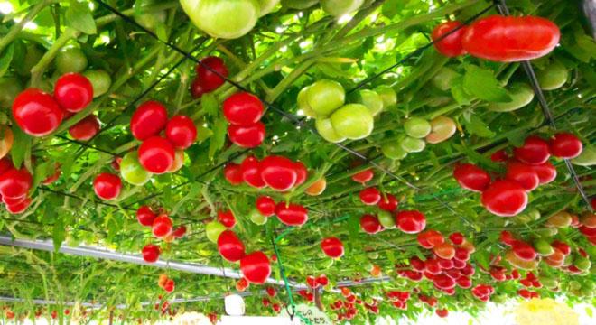 一般社団法人With You　