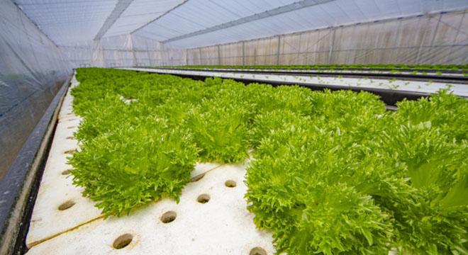 一般社団法人With You　