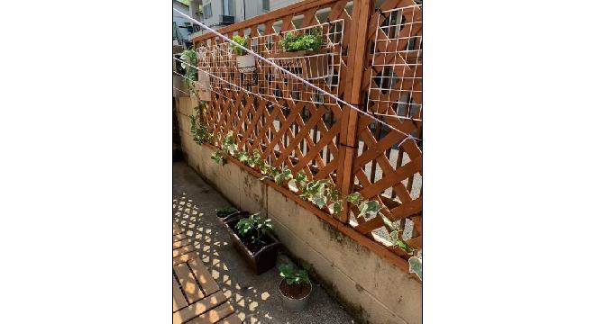 株式会社new things