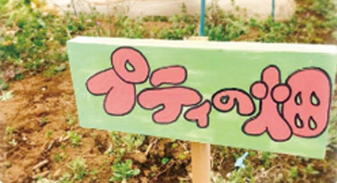 株式会社シムレス