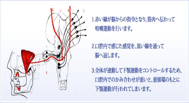 豊田歯科医院