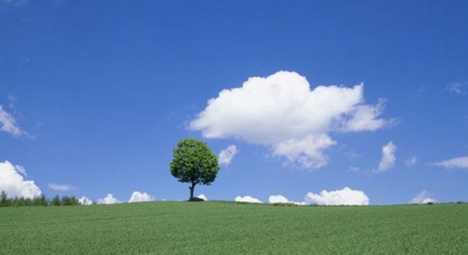 合同会社ゆめプロジェクト