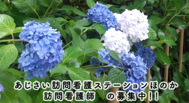 あじさい訪問看護ステーションほのか