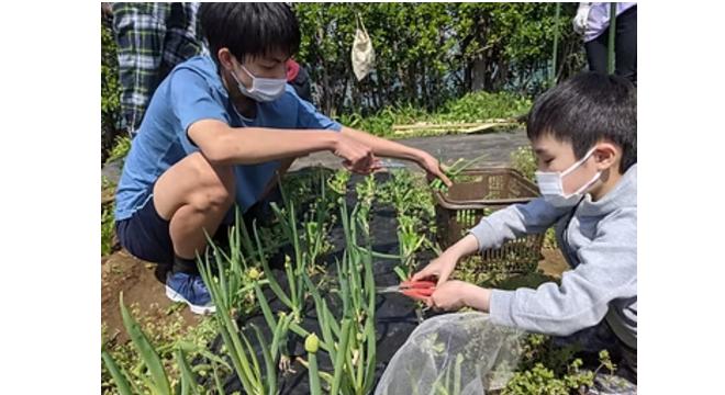 特定非営利活動法人わっしょい・ふる里