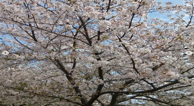 株式会社ブラザーフッド神野