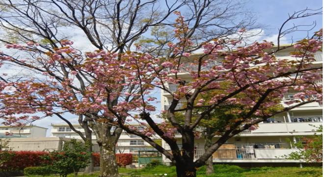 株式会社ブラザーフッド神野