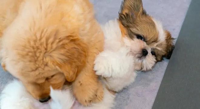 株式会社 TEKO TEKO