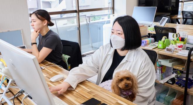 stella83株式会社