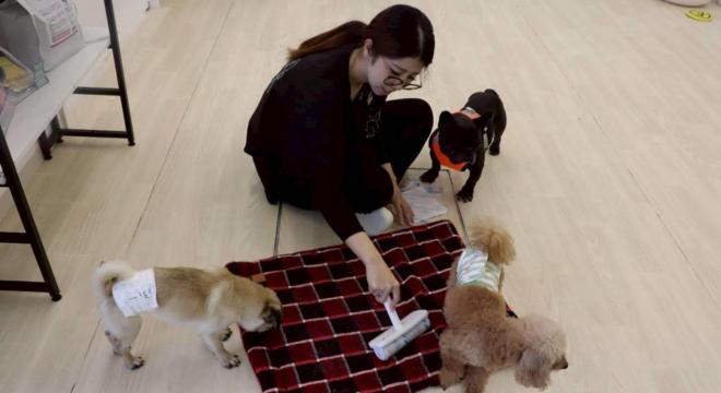 株式会社 TEKO TEKO