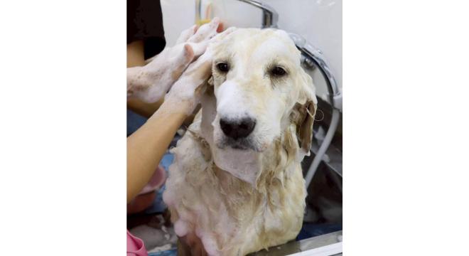 株式会社 TEKO TEKO