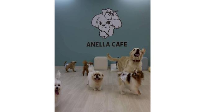 株式会社 TEKO TEKO