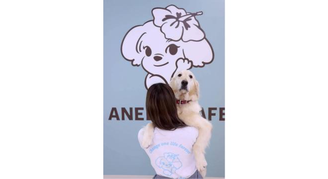 株式会社 TEKO TEKO