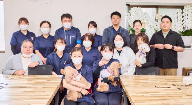 stella83株式会社