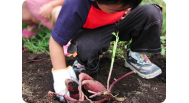 NPO法人おひさまひろば