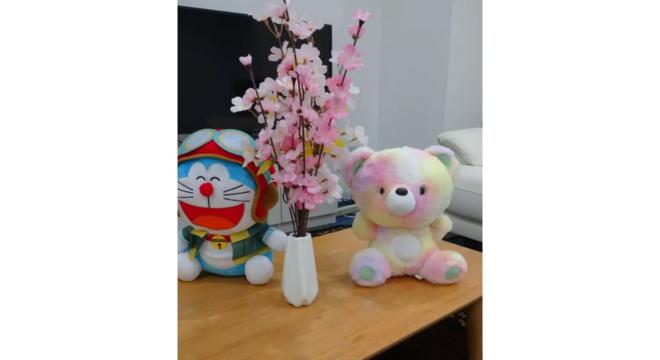 株式会社さくらいろ