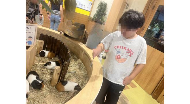 合同会社カンガルーのポッケ