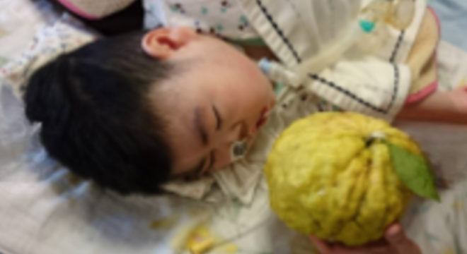 一般社団法人CSK　だいだい縁
