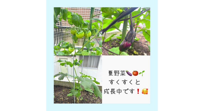 株式会社 ナナハトモニー