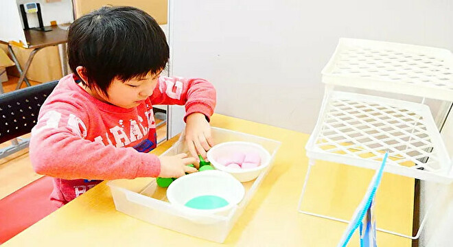 スバル・トータルプランニング株式会社