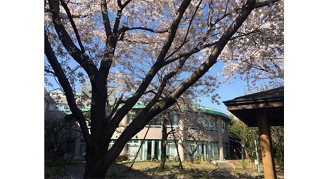 介護老人保健施設練馬ゆめの木 