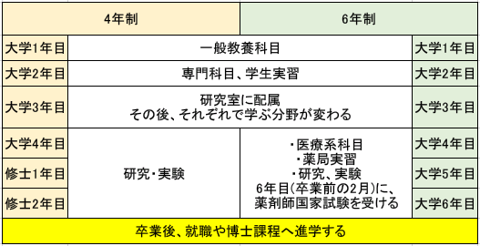 薬剤師になるには何をする 掛かる費用や試験について 医療 介護 福祉 保育biz Media